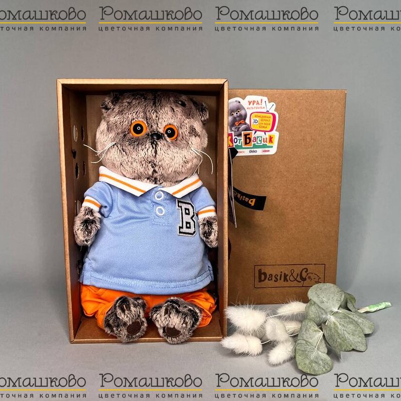 Кот Басик в голубом поло