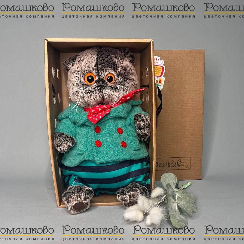 Кот Басик в круизном костюме
