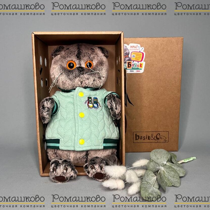 Кот Басик в мятном бомбере