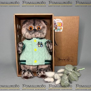 Превью Кот Басик в мятном бомбере