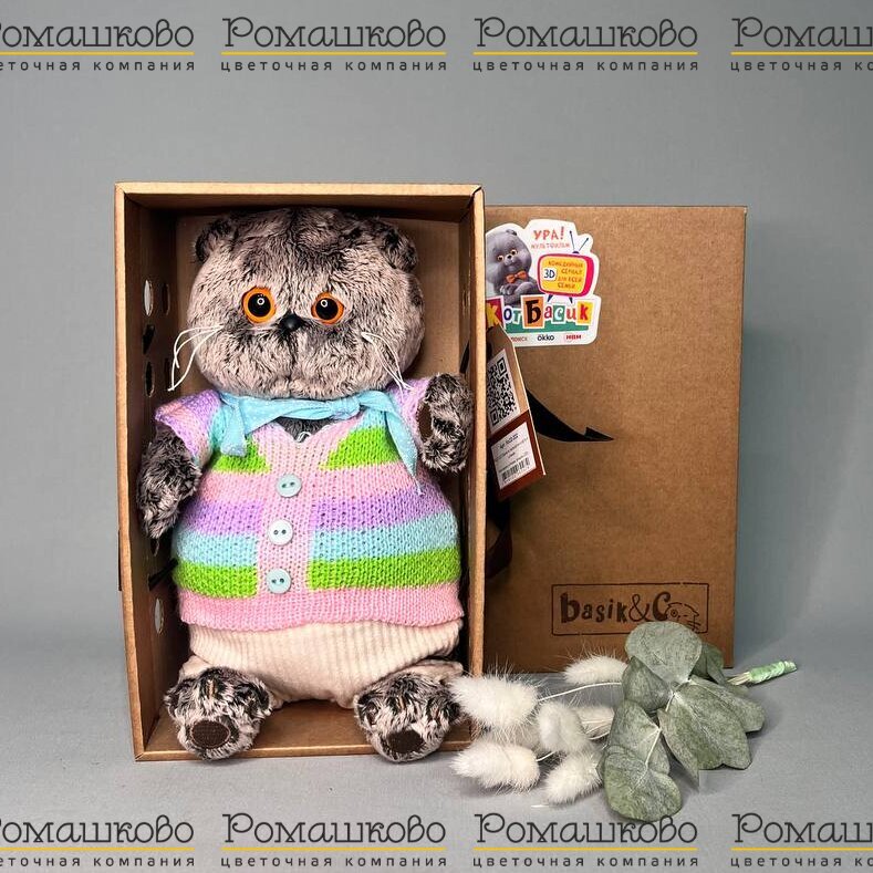 Кот Басик в полосатой кофте и штанах