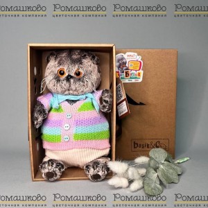 Превью Кот Басик в полосатой кофте и штанах