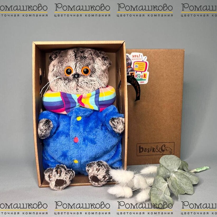 Кот Басик в спальном комбинезоне