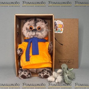 Превью Кот Басик в толстовке с шарфом