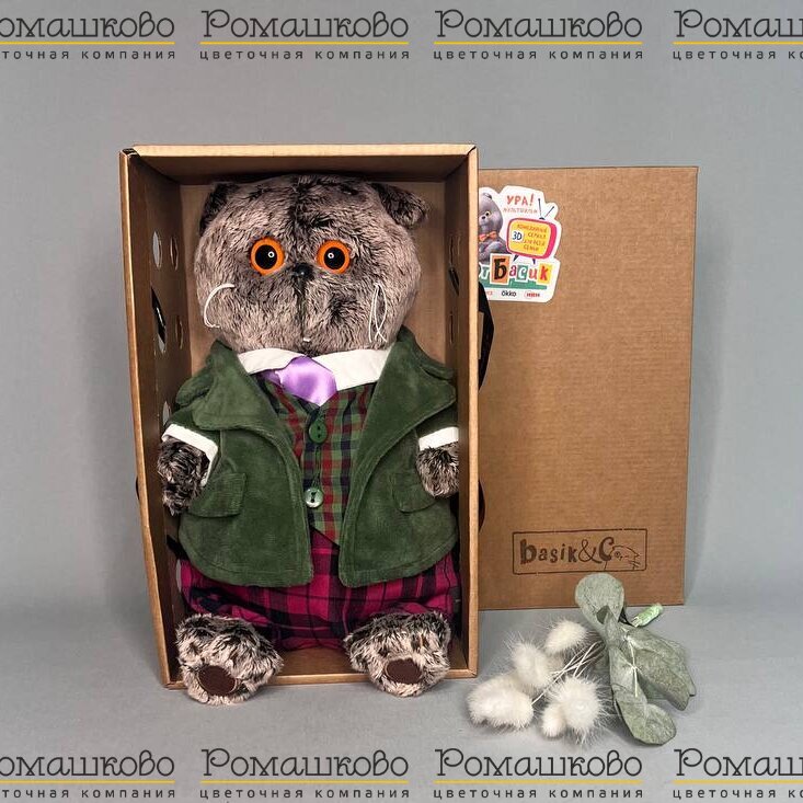 Кот Басик в зелёном бархатном пиджаке