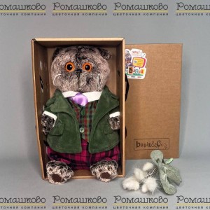 Превью Кот Басик в зелёном бархатном пиджаке