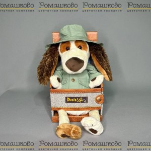 Превью Барти BABY в панамке