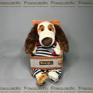 Превью Барти BABY в комбинезоне с рыбкой