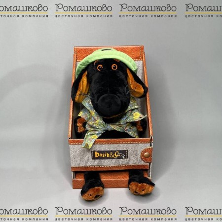 Ваксон в панаме