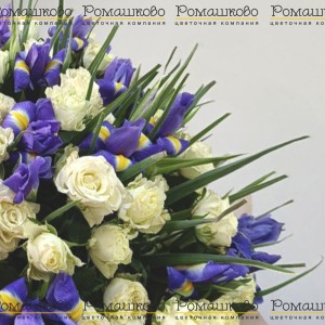 Превью Букет из ирисов «Джолэнда»