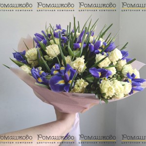 Превью Букет из ирисов «Джолэнда»