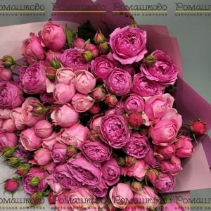 Превью Букет из кустовых роз «Селесте»