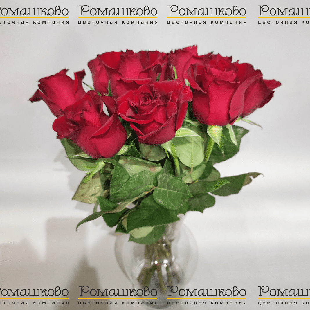 15 красных роз Кения (50см)