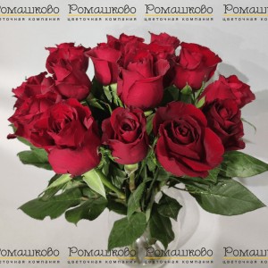 Превью 15 красных роз Кения (50см)