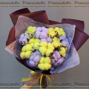 Превью Хлопок с лимониумом