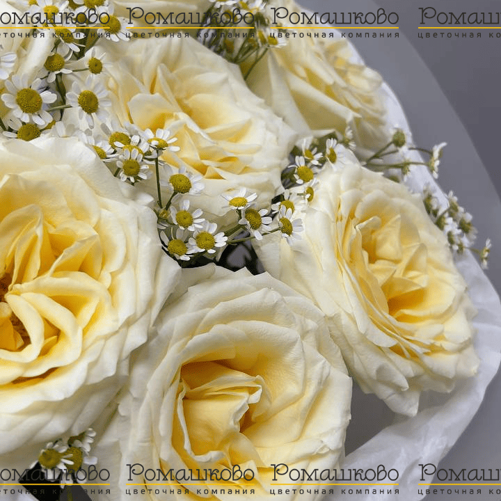 Букет из 7 пионовидных роз