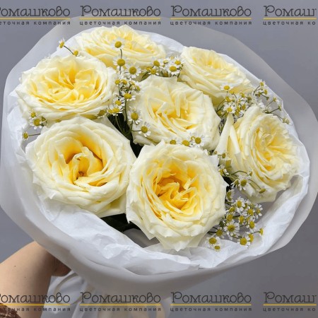 Букет из 7 пионовидных роз