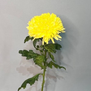 Превью Хризантема крупноцвет Магнум желтый 70 см 120 гр