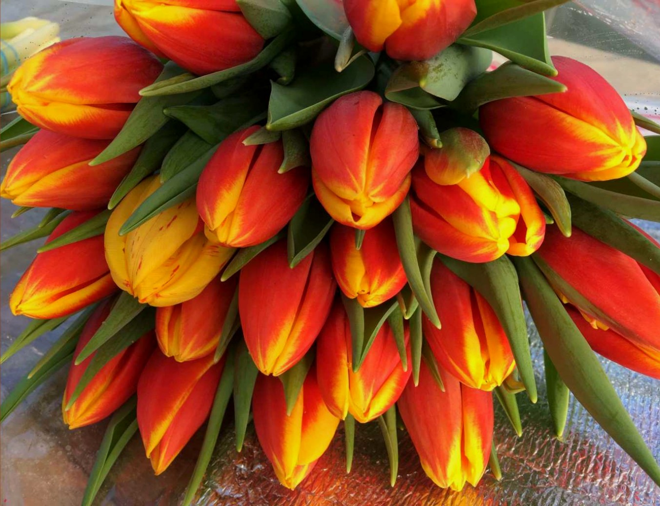 Хенни ван де Мост