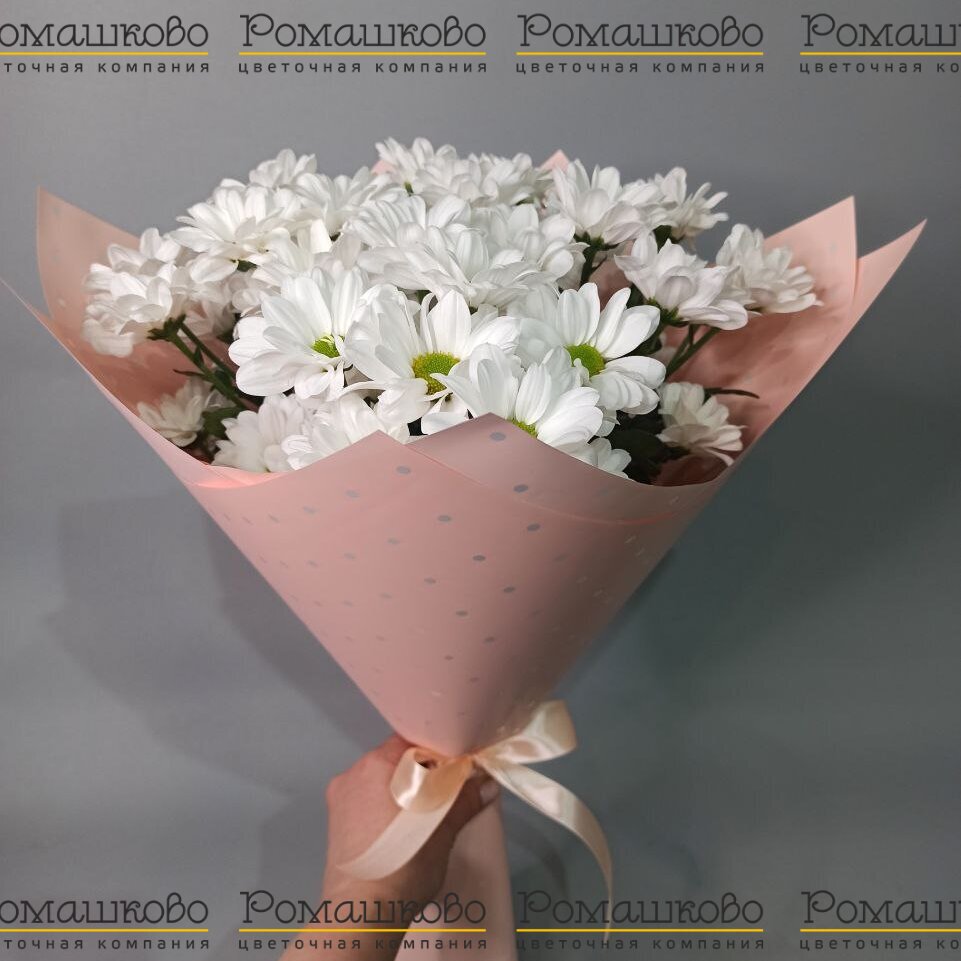 Букет из хризантем «Добрые слова»