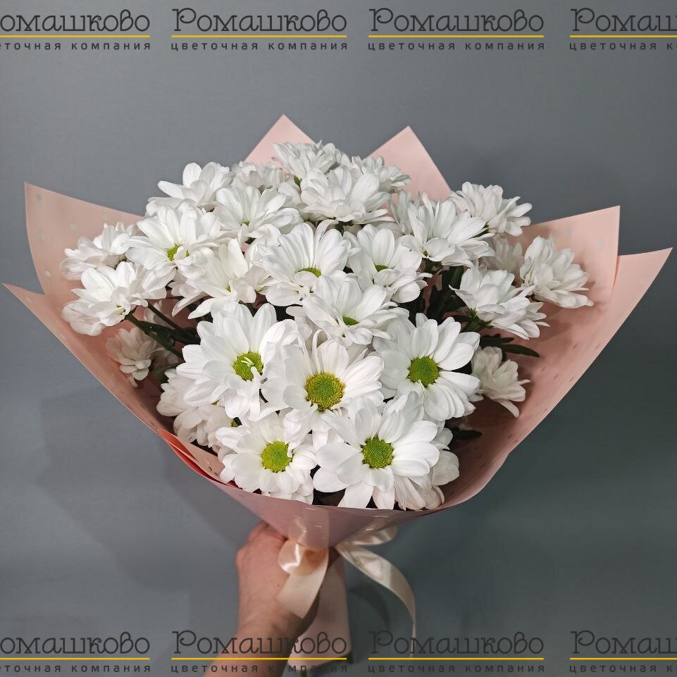 Букет из хризантем «Добрые слова»