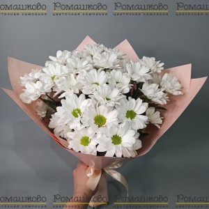 Превью Букет из хризантем «Добрые слова»