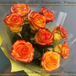 Превью Букет из роз «Яркий день»