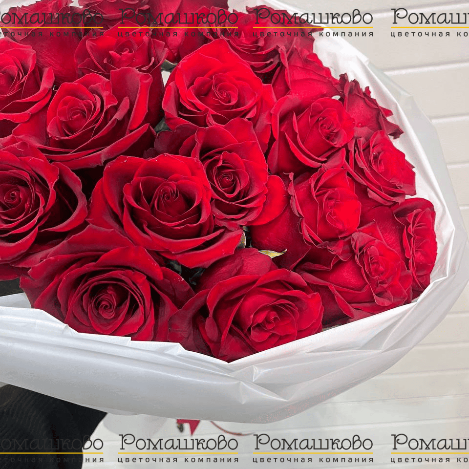 Букет из 19 красных роз Эксплорер