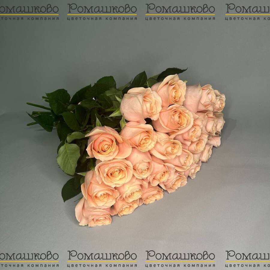 Букет из розы «Катрин»