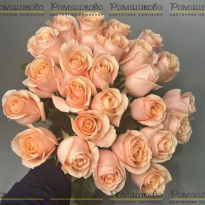 Превью Букет из розы «Катрин»