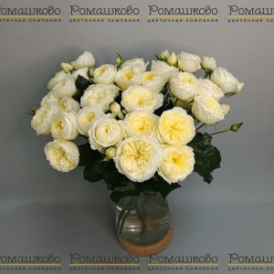 Превью Букет из кустовых роз «Яблоневый цвет»