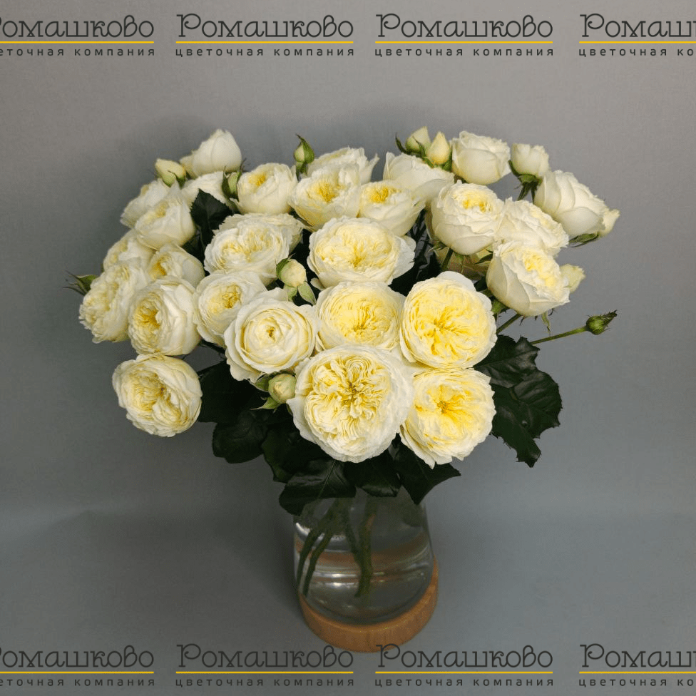 Букет из кустовых роз «Яблоневый цвет»