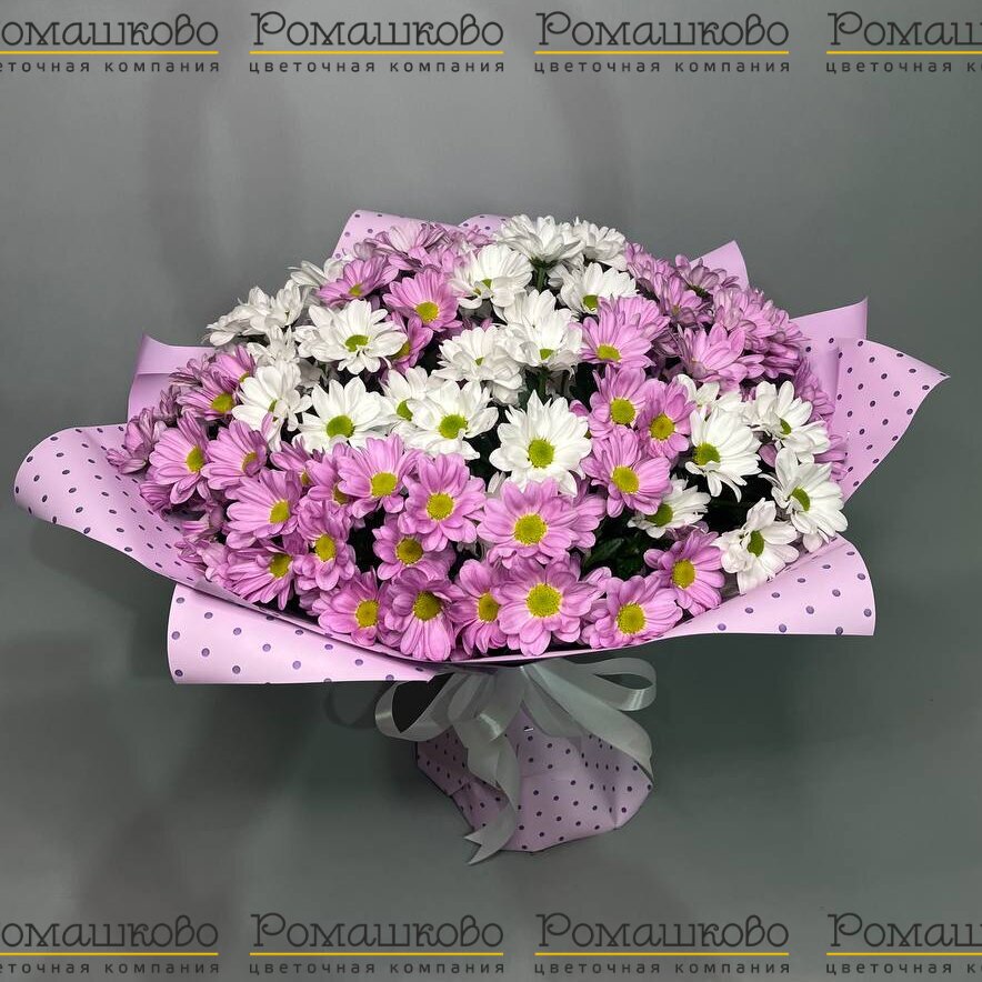 Букет из 15 бело-розовых кустовых хризантем