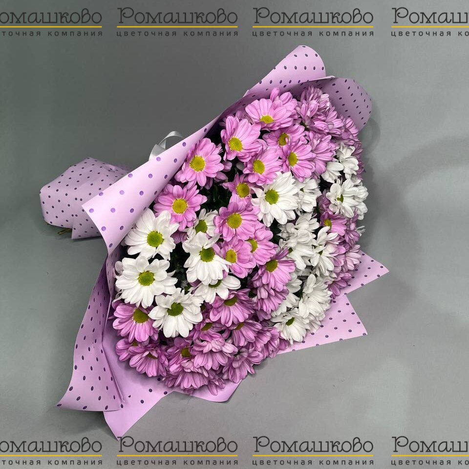 Букет из 15 бело-розовых кустовых хризантем