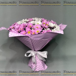 Превью Букет из 15 бело-розовых кустовых хризантем