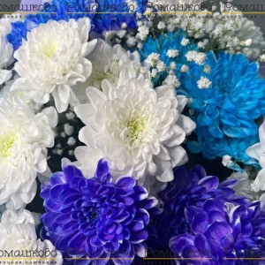 Превью Букет из синих хризантем «Зимняя нежность»