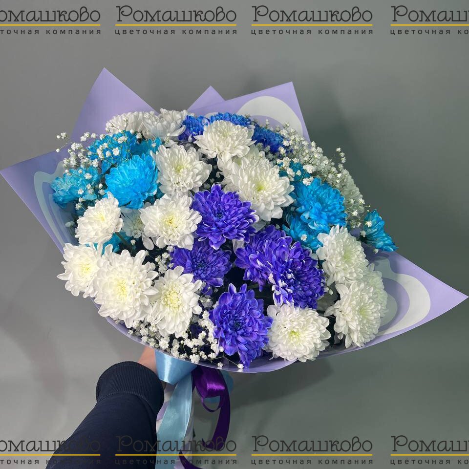 Букет из синих хризантем «Зимняя нежность»