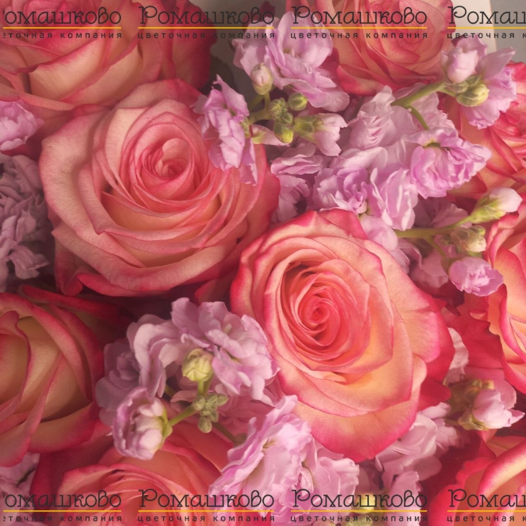 Букет из розы «Над облаками»