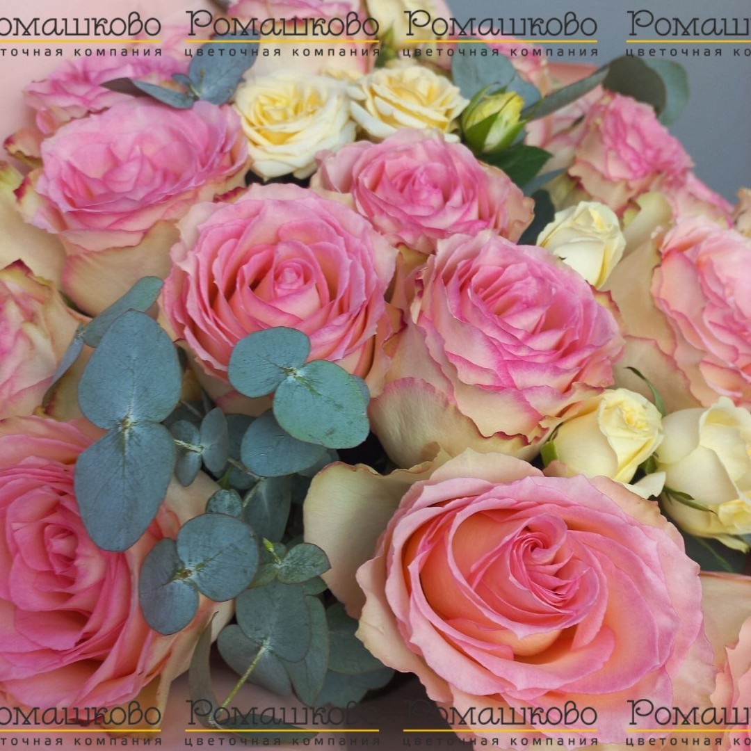 Букет из розы «Пояс Венеры»