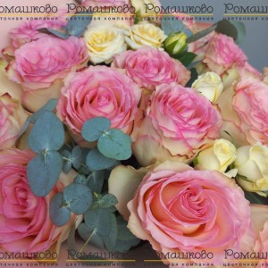 Превью Букет из розы «Пояс Венеры»