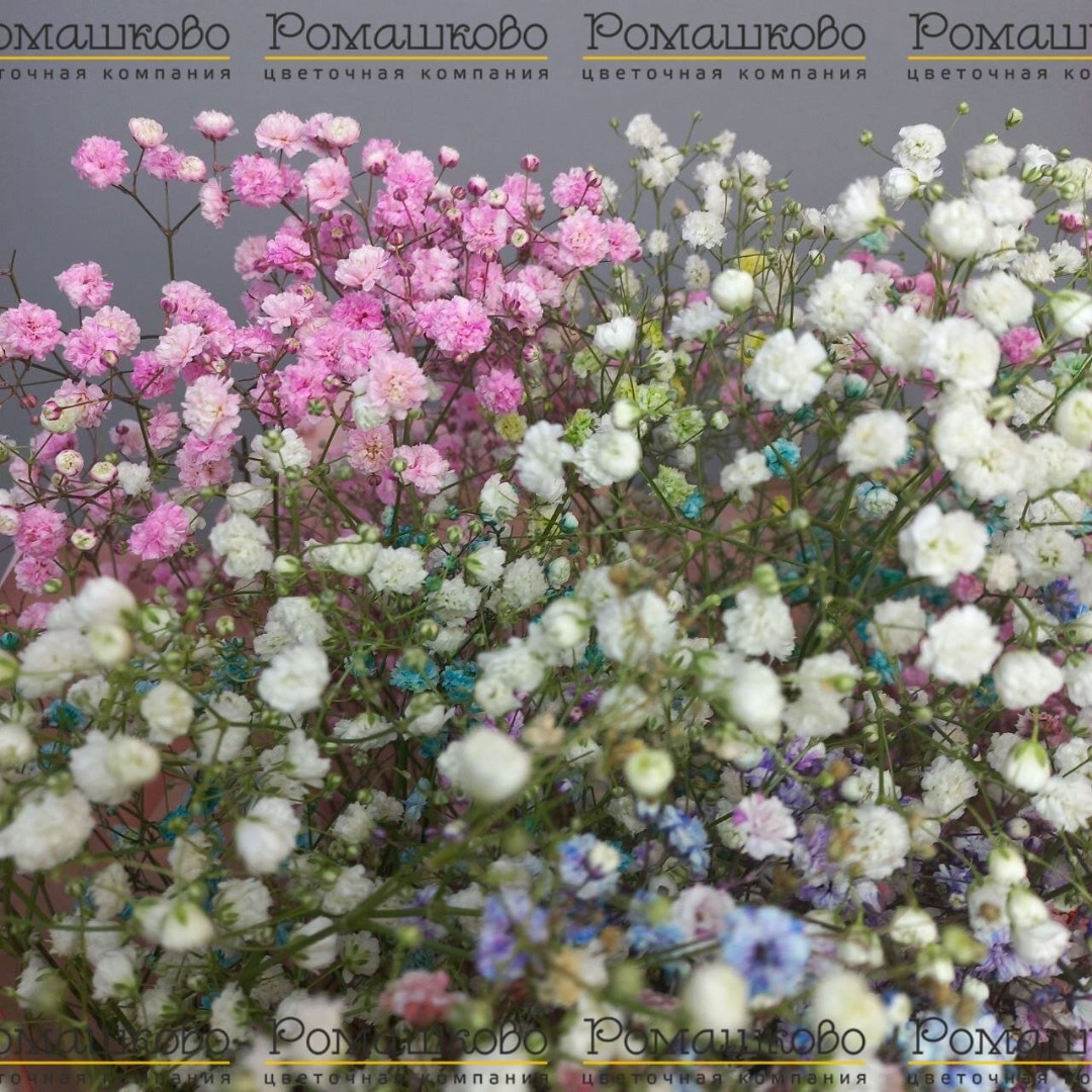 Букет «Вдохновение»