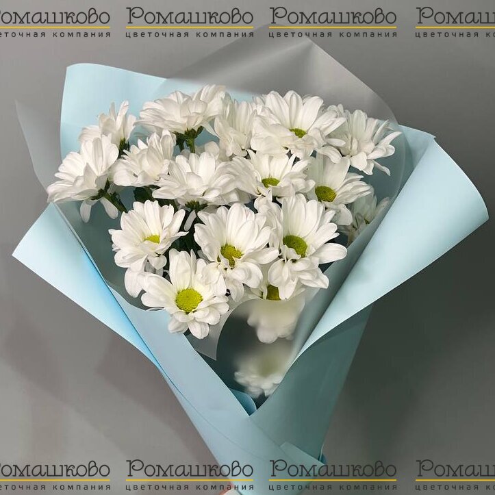 Букет из ромашек «Нежный сонет»