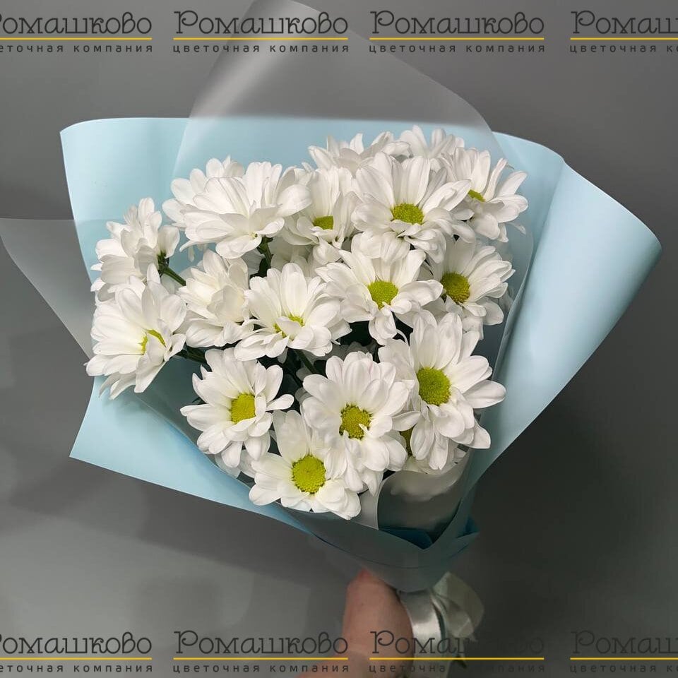 Букет из ромашек «Нежный сонет»