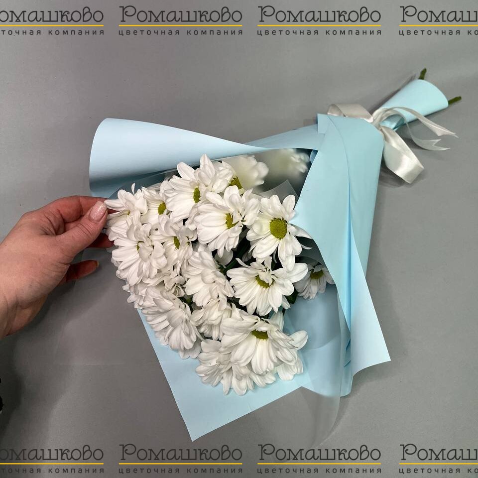 Букет из ромашек «Нежный сонет»
