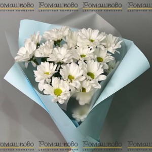Превью Букет из ромашек «Нежный сонет»