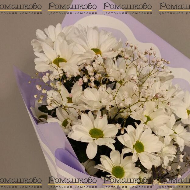 Букет из ромашек «Подарок лета»