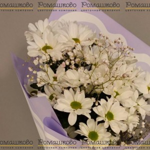 Превью Букет из ромашек «Подарок лета»