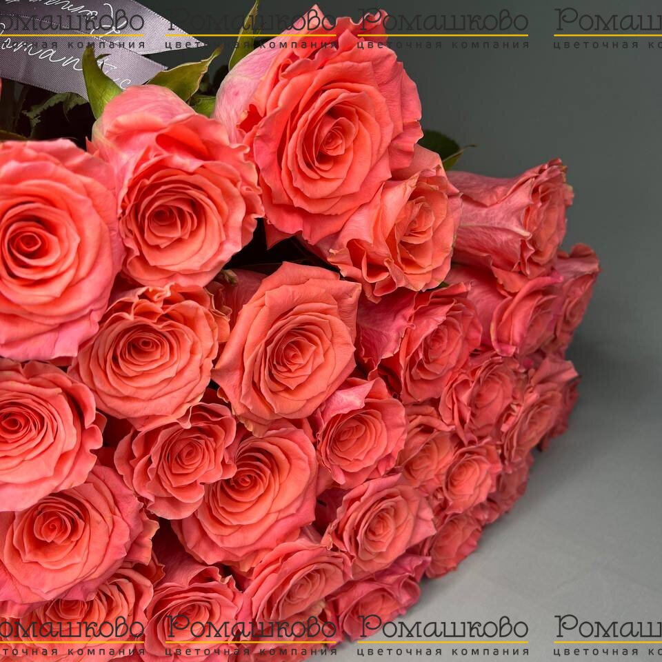 Букет из 51 розы Amsterdam  (60 см)