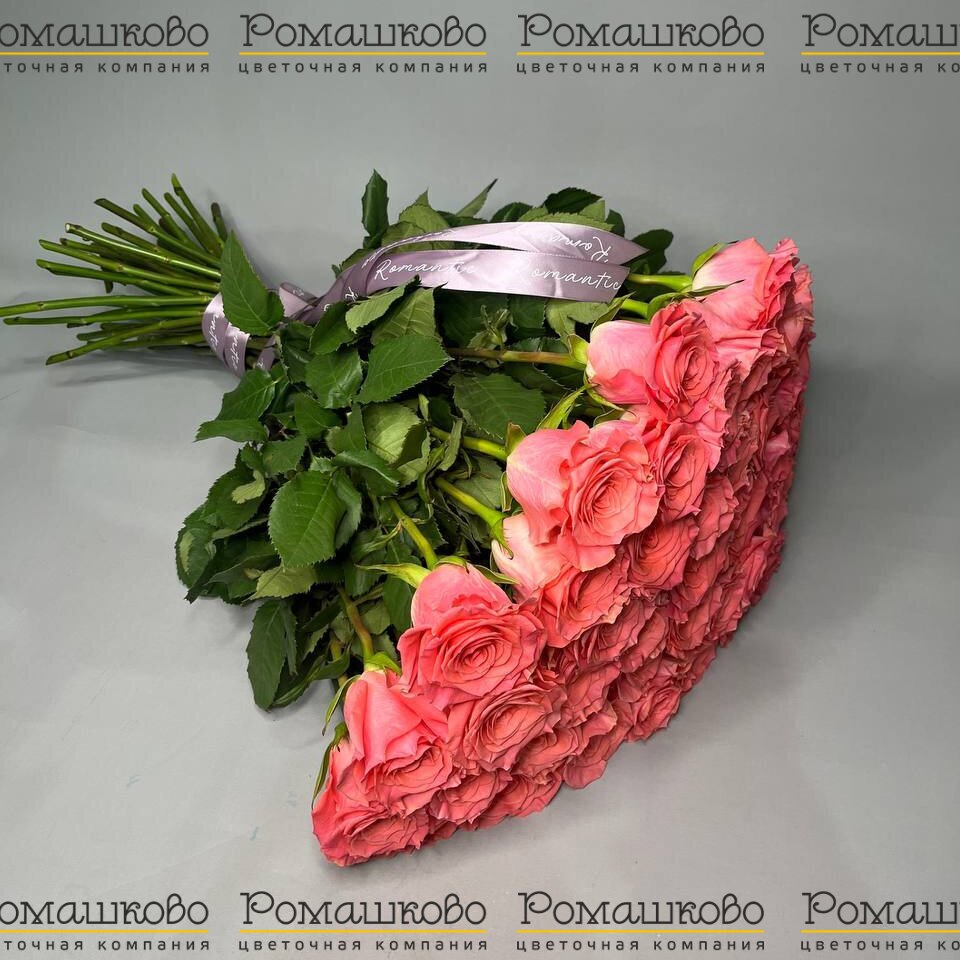 Букет из 51 розы Amsterdam  (60 см)