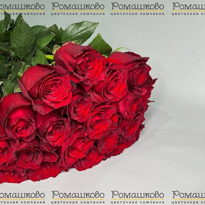 Букет из 23 красных роз (60см)